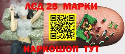 кокс Бийск
