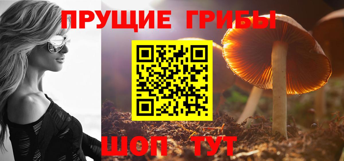 Ишим  купить наркоту  Вход с VPN  Галлюциногенные грибы ЛСД 