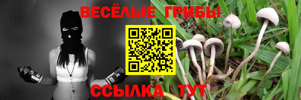 Галлюциногенные грибы MAGIC MUSHROOMS Ишим